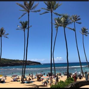 Meet your Posher, Tawatha